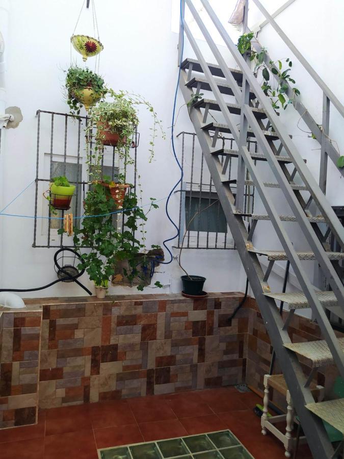 Yedra Cadiz Cádis Exterior foto